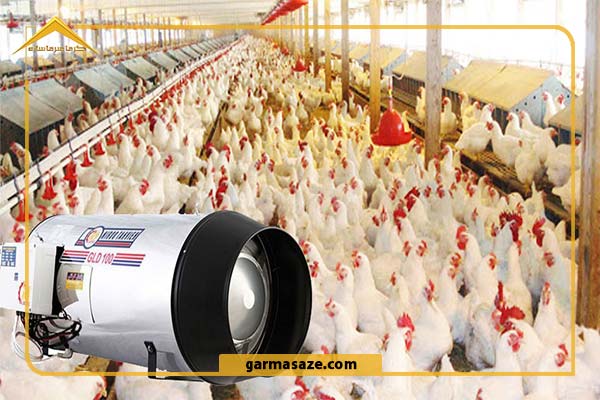 نمایی از جت هیتر مرغداری در سالن مرغداری