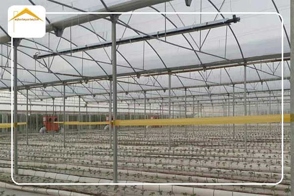 نصب گرمایش تابشی لوله ای در گلخانه قوچان